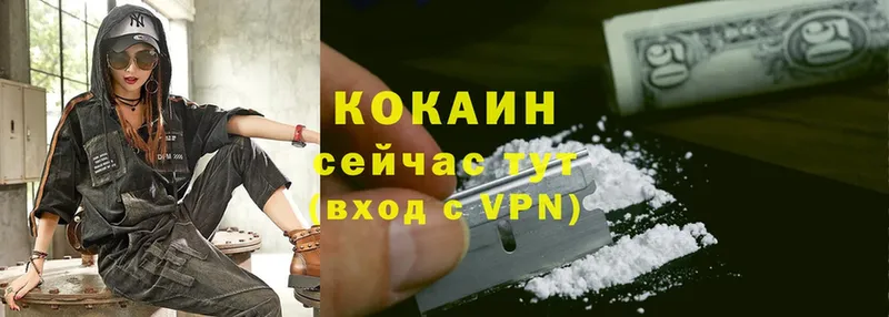 Cocaine Боливия  как найти закладки  Грязовец 