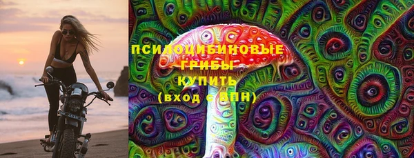 марки lsd Богородицк